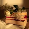 litterature-romantique